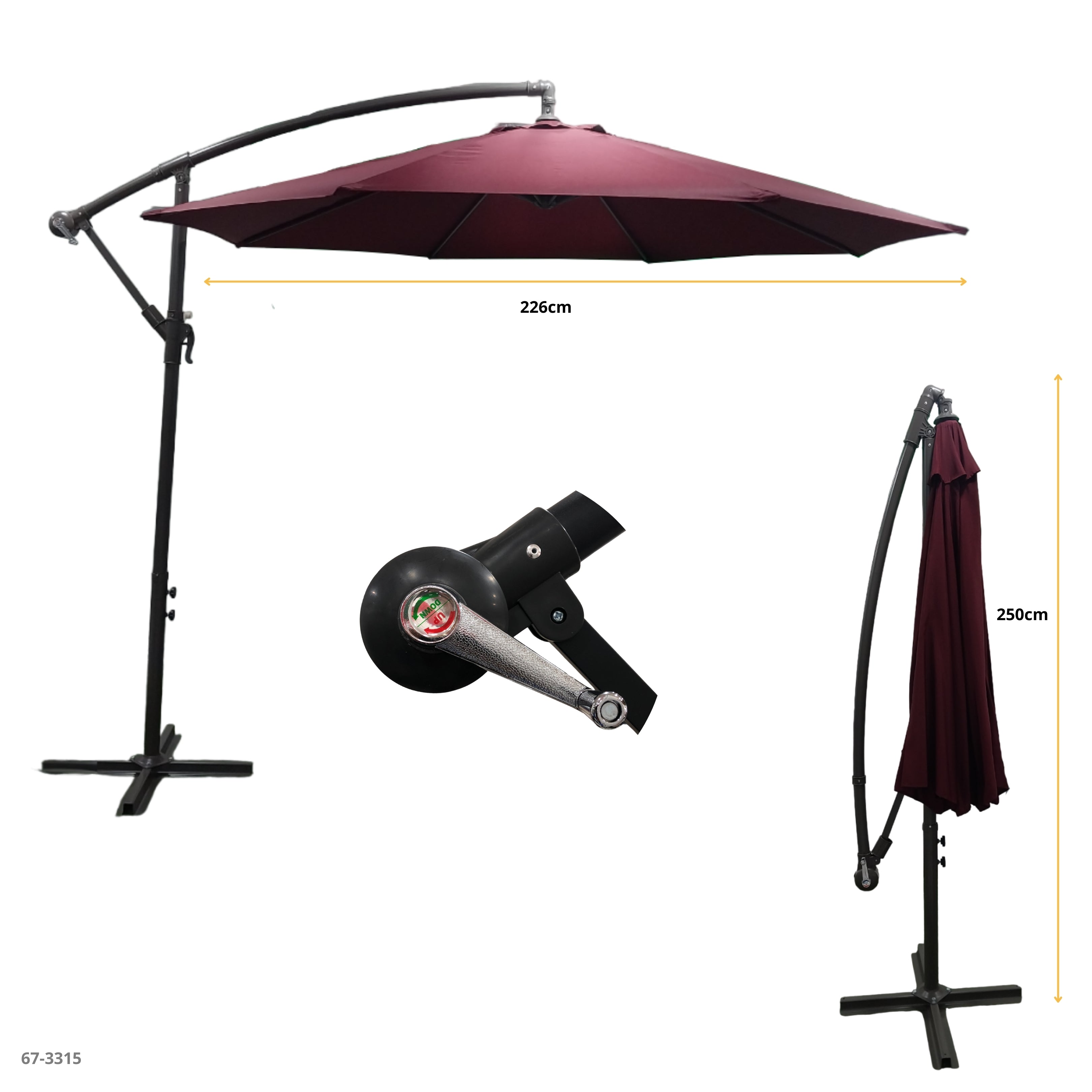 PARAGUA ROJO BANANA GRANDE